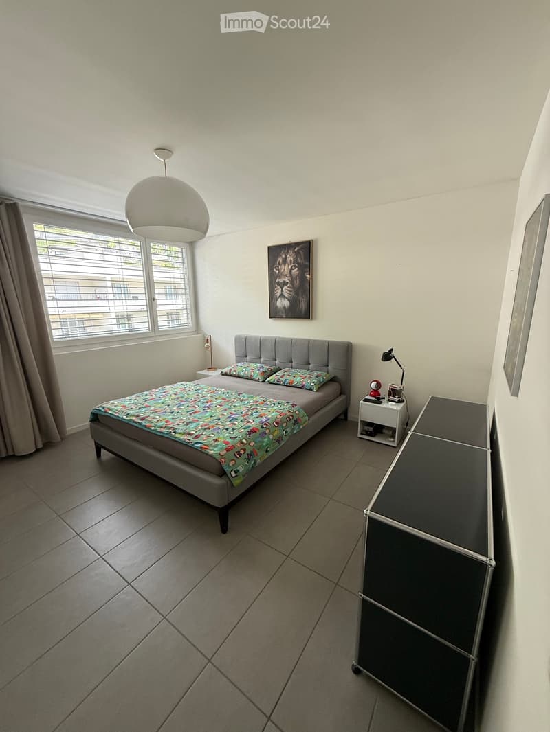 Affittasi appartamento 2,5 locali (Gordola) (5)