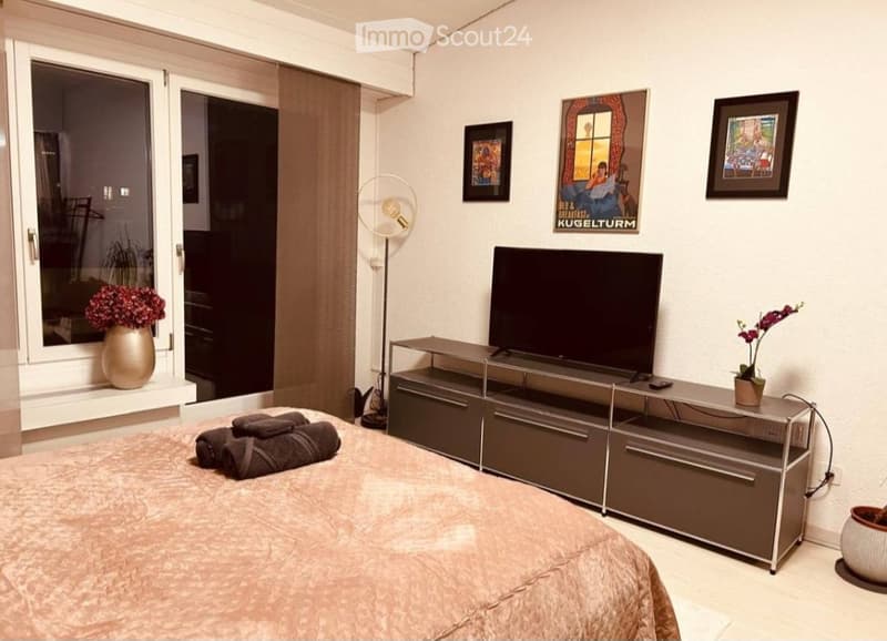 Appartamento studio moderno a Schönengrund (4)