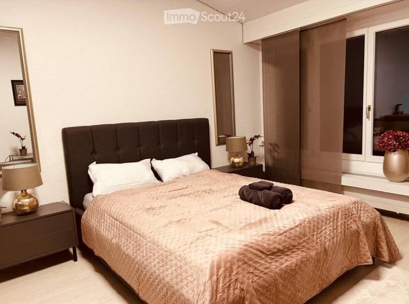 Appartamento studio moderno a Schönengrund (3)