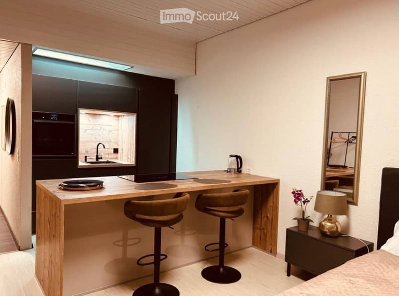 Appartamento studio moderno a Schönengrund (1)