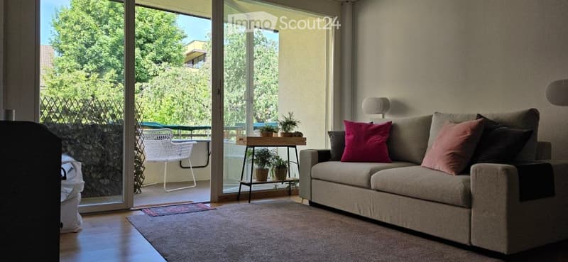 Appartamento 2½ locali, 1° piano, riscaldamento a pavimento e balcone, dal 01.08.2026 (1)