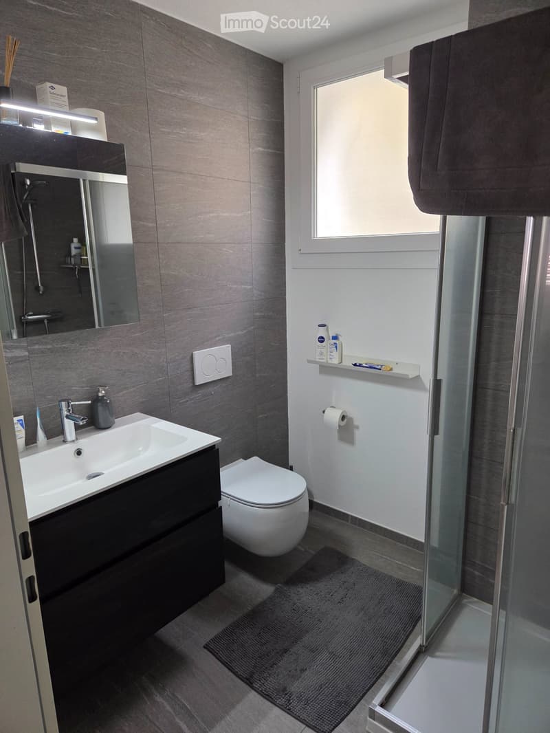 Appartamento 3.5 locali Monte Carasso in collina (8)