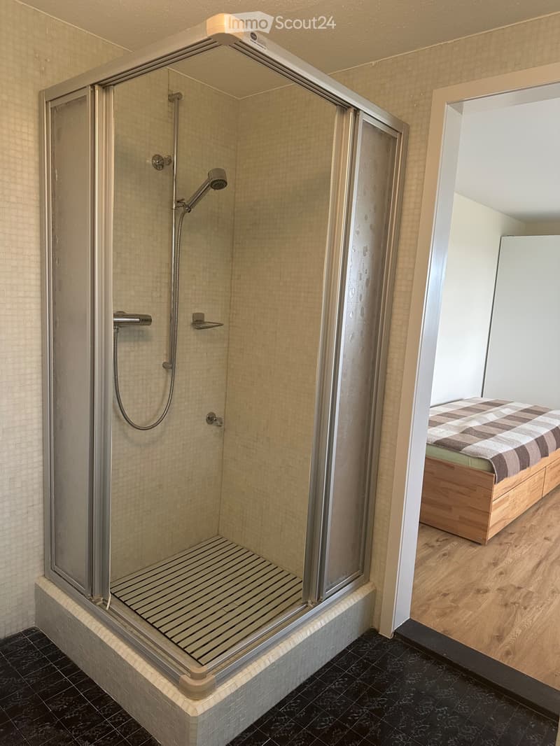 Einliegerwohnung in Seuzach (2)