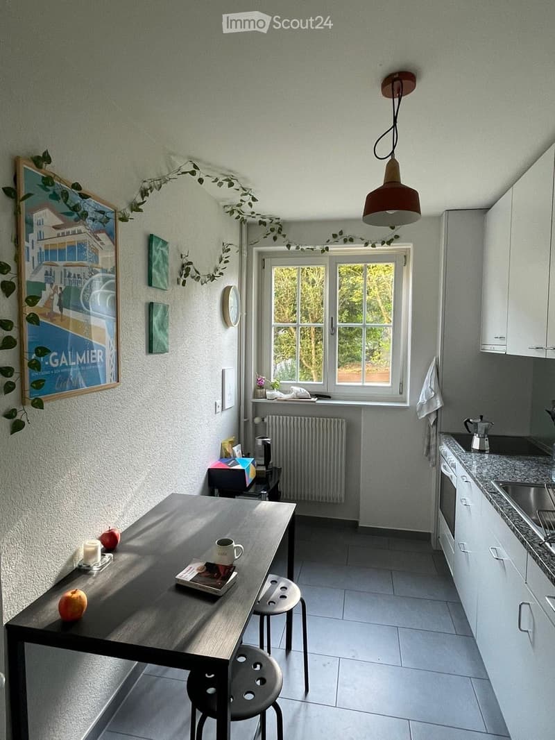 Room in a shared apartment in Bern available immediately until the end of January 2027 (1)