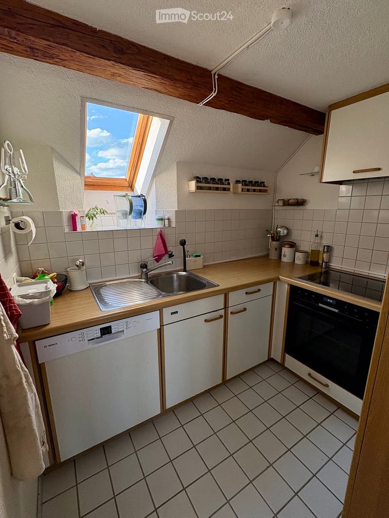 Appartement 2 pièces à Wetzikon ZH (4)