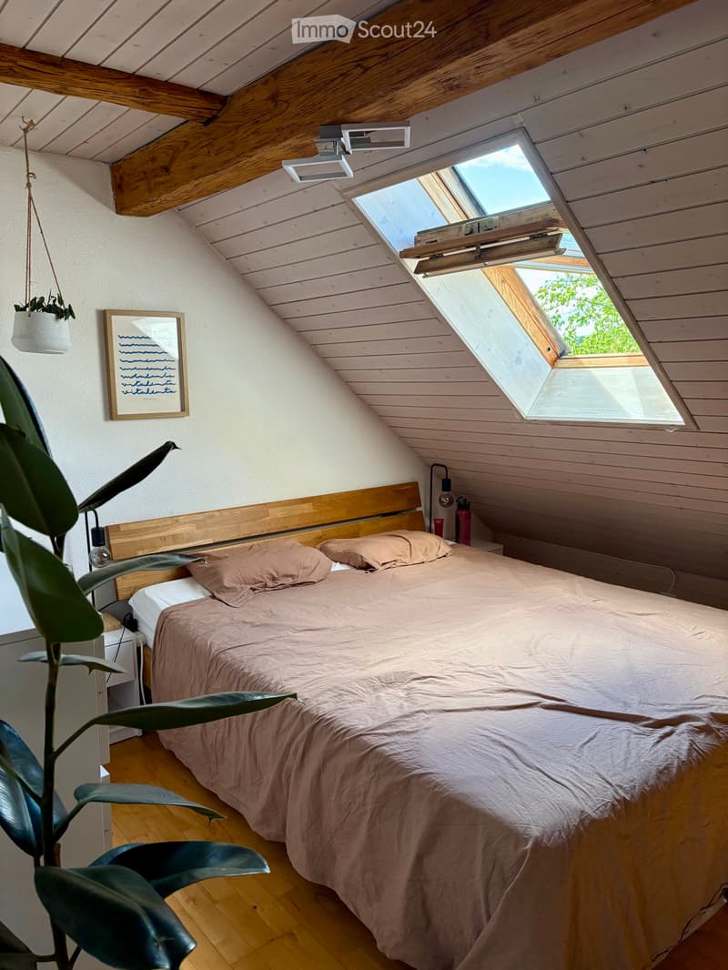 Appartement 2 pièces à Wetzikon ZH (3)
