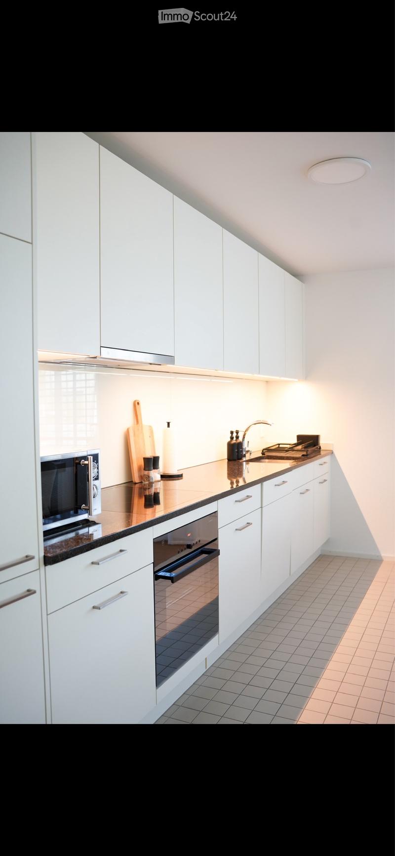 3.5 Room Apartment for Rent in Wangen bei Olten (3)