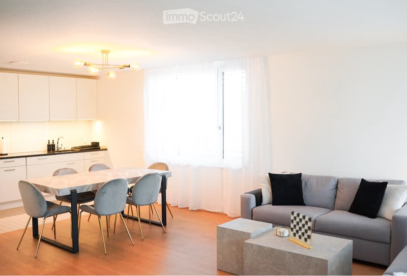 3.5 Room Apartment for Rent in Wangen bei Olten (1)