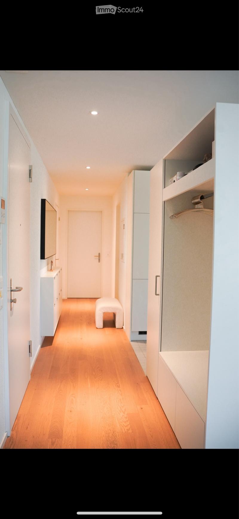 3.5 Room Apartment for Rent in Wangen bei Olten (2)