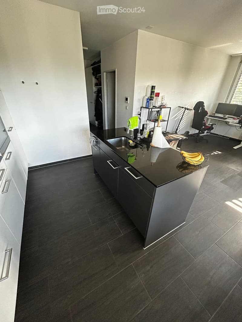 Bright 2.5-room apartment in Frenkendorf (2)