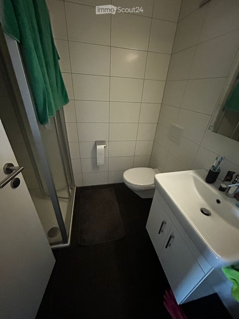 Bright 2.5-room apartment in Frenkendorf (5)