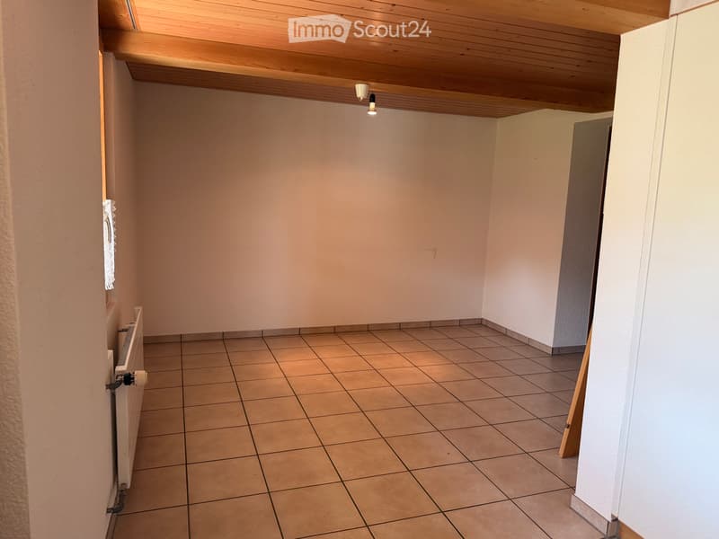 Ampio appartamento di 6 ½ locali (2)
