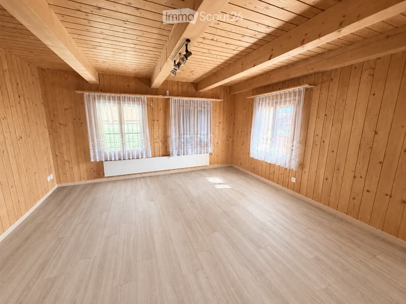 Ampio appartamento di 6 ½ locali (4)