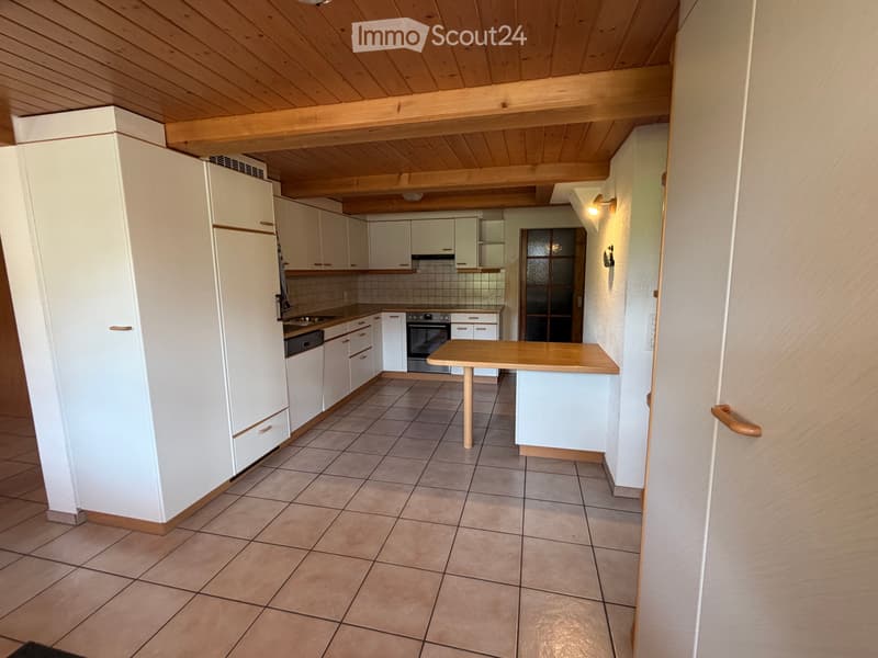 Ampio appartamento di 6 ½ locali (1)