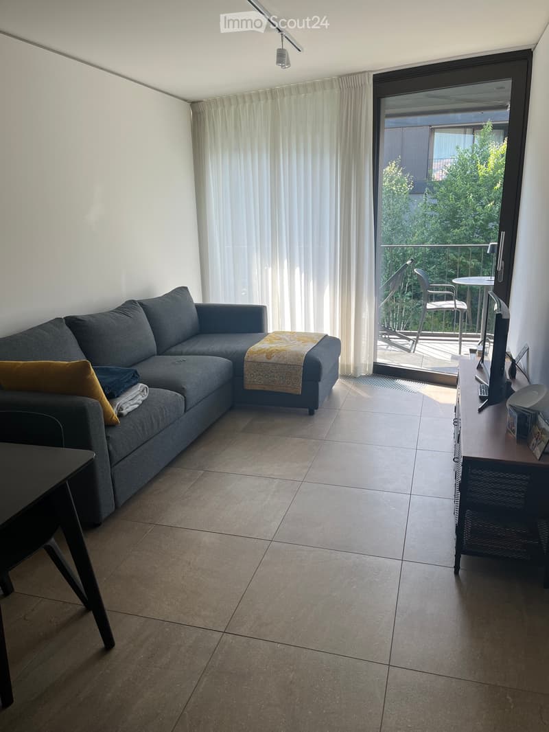 Cercasi subentrante 2.5 locali a Sorengo (1)
