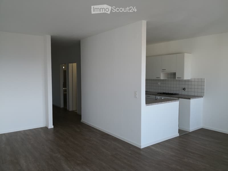 Wohnung 3.5 Zimmer in Chiasso (2)