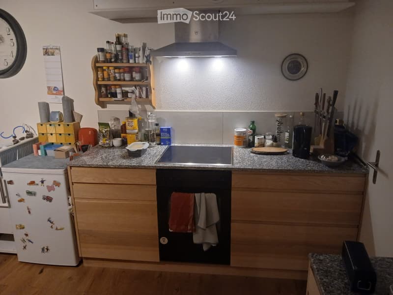 schöne Wohnung im Grünen (3)
