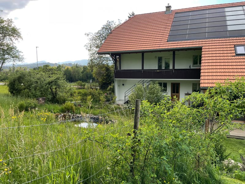 schöne Wohnung im Grünen (1)
