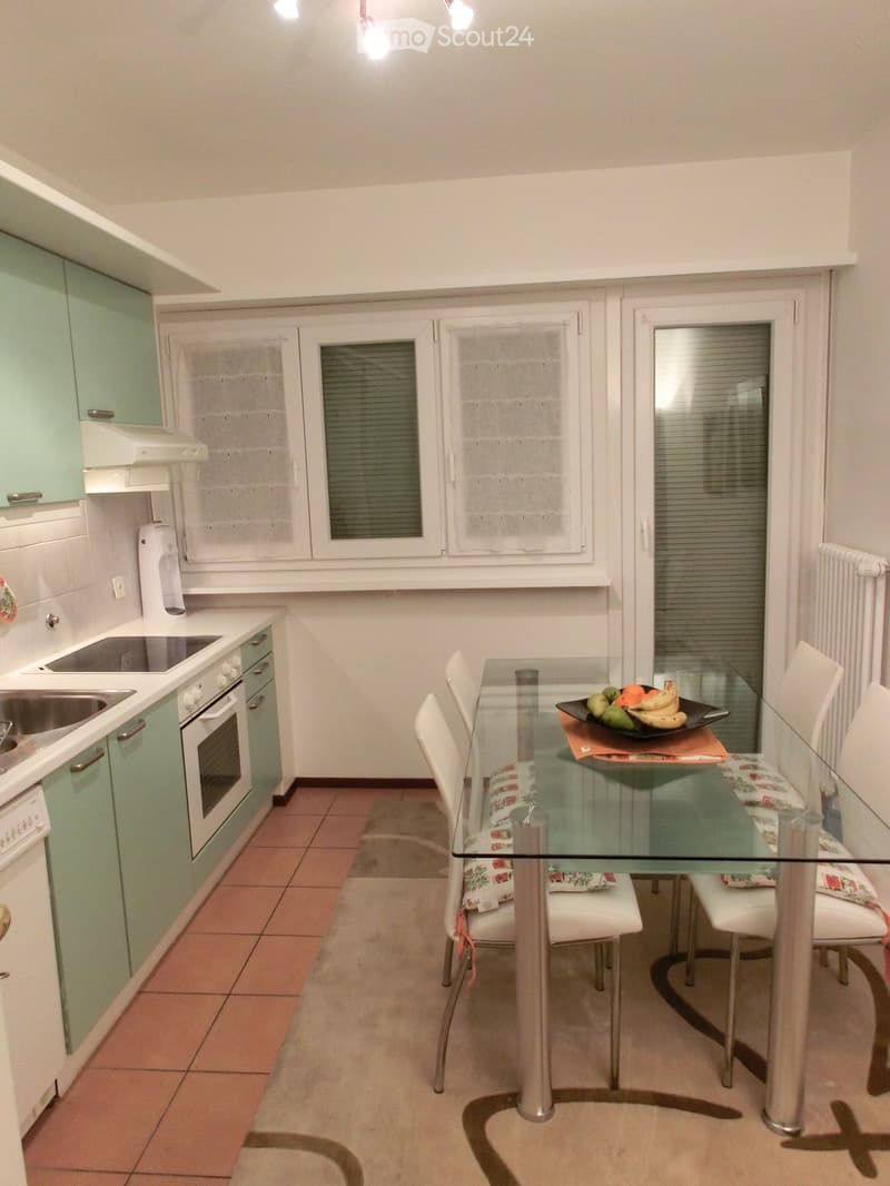 Spacious 4.5 room apartment with open view and garage in Chiasso (5)