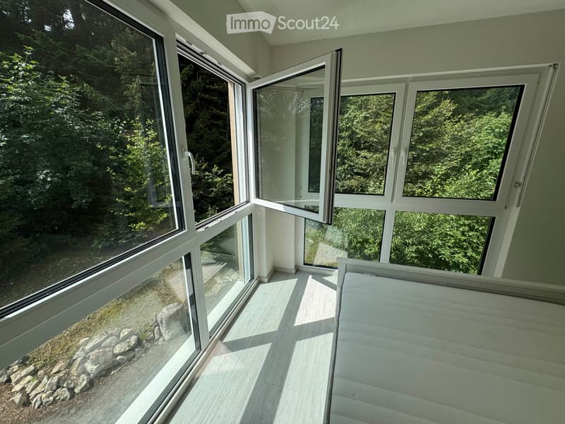 Großes 5.5-Zimmer-Haus in Saint-Cergue, Natur und Moderne (4)