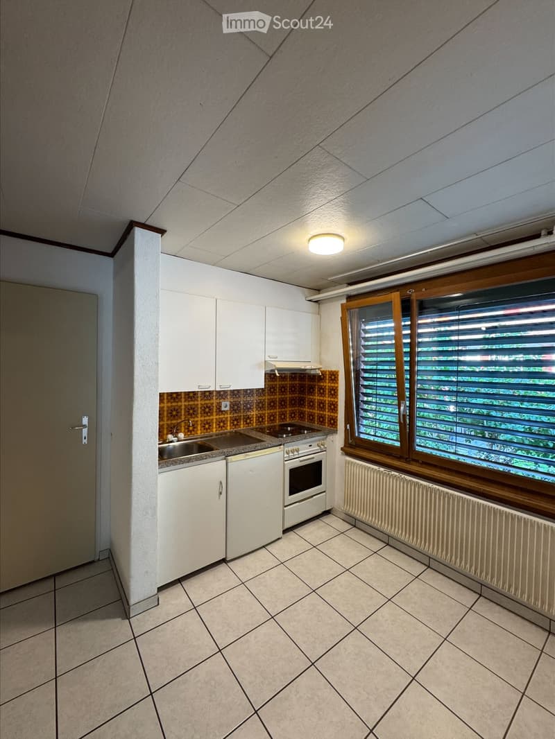 2 Zimmer Wohnung in Frutigen Dorf (3)