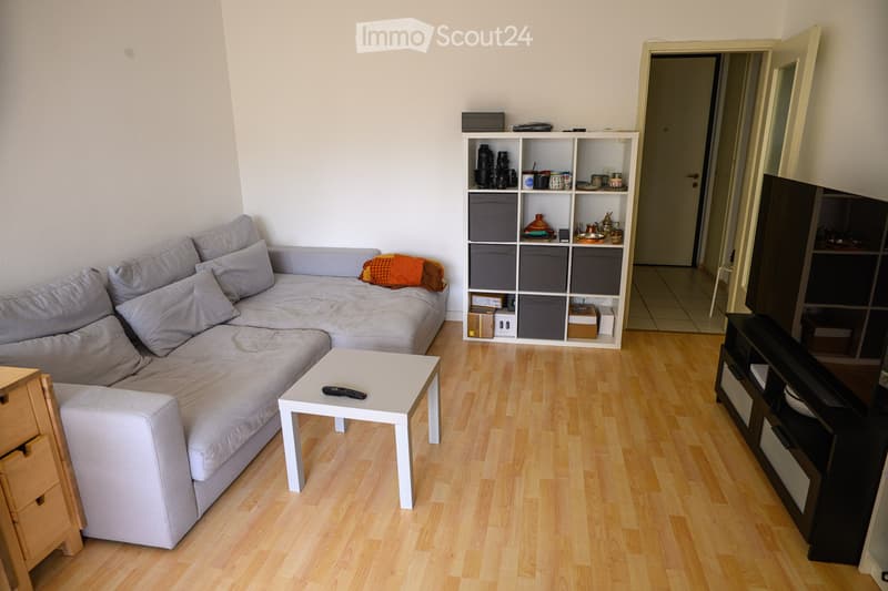 Bright 2.5 Apartment in the Center of Lugano [Temporary] (2)