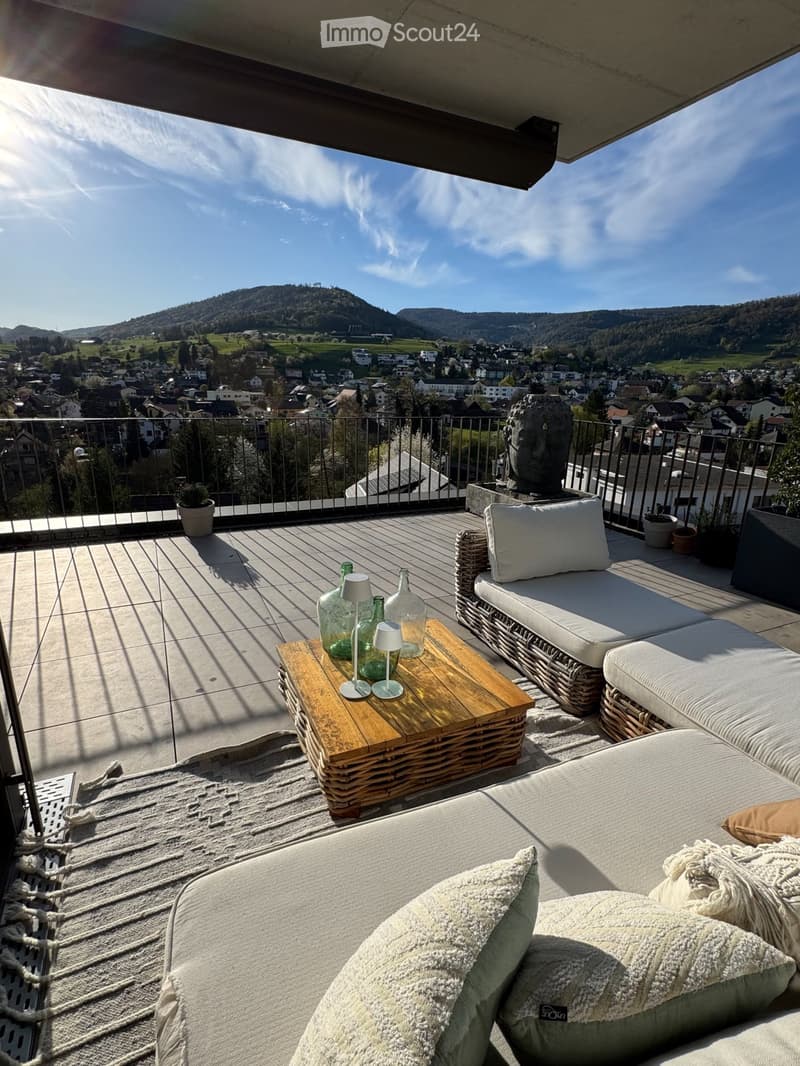 Attique neuve avec ascenseur direct et terrasse ensoleillée de 100 m² (2)