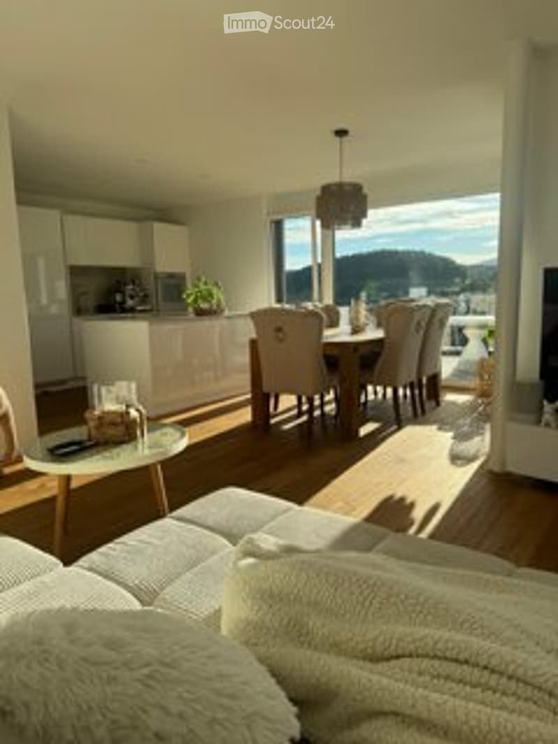 Attique neuve avec ascenseur direct et terrasse ensoleillée de 100 m² (4)