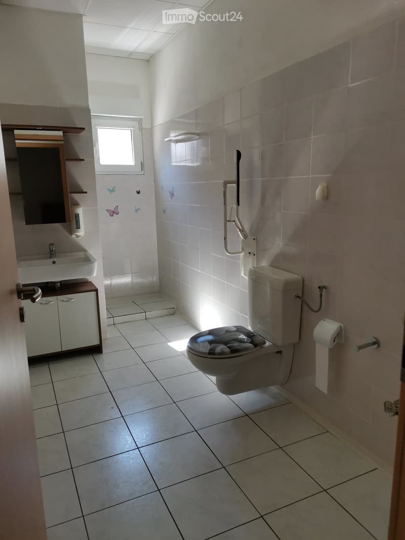 Appartamento 3.5 Biasca (3)
