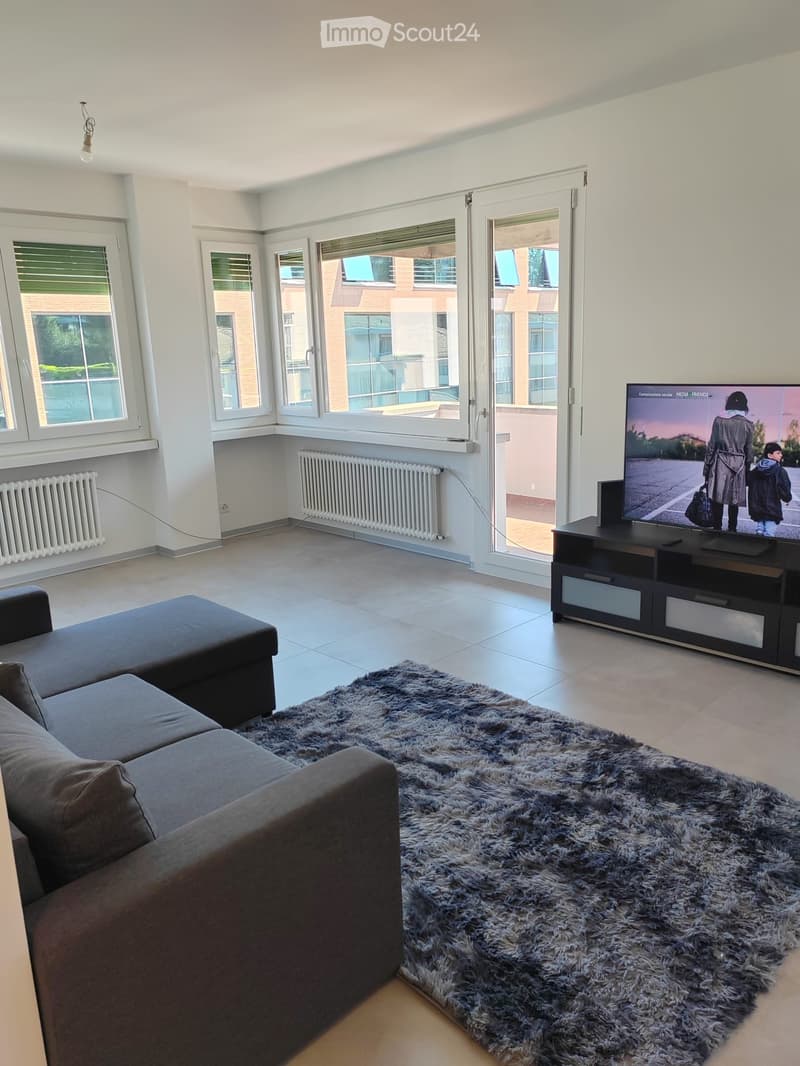 Cession d'un appartement splendide à Lugano (1)