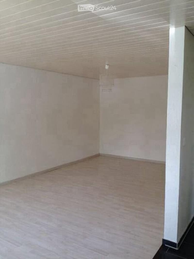 Studio dans un endroit calme à louer à partir du 01.09.2026 (3)