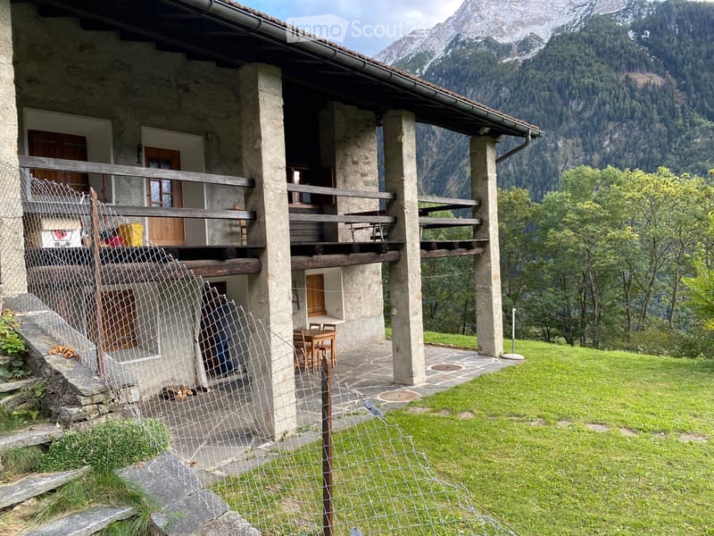 Appartement dans le vert (1)