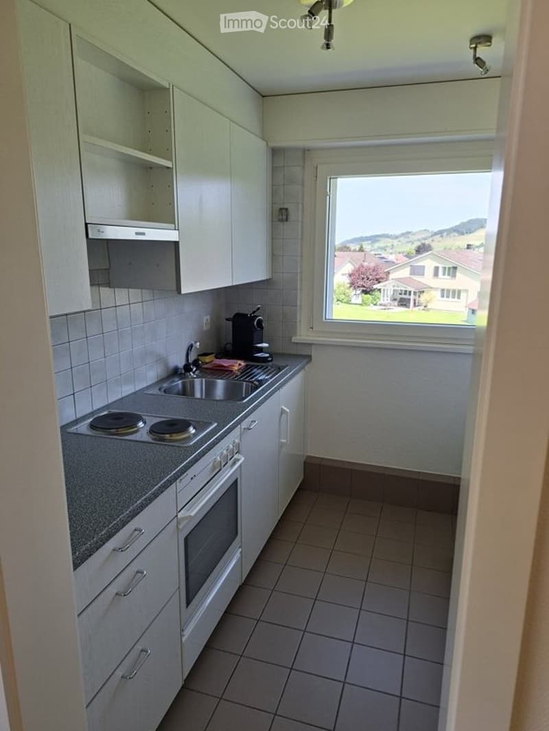 Holiday apartment / studio for rent / All year round (4)