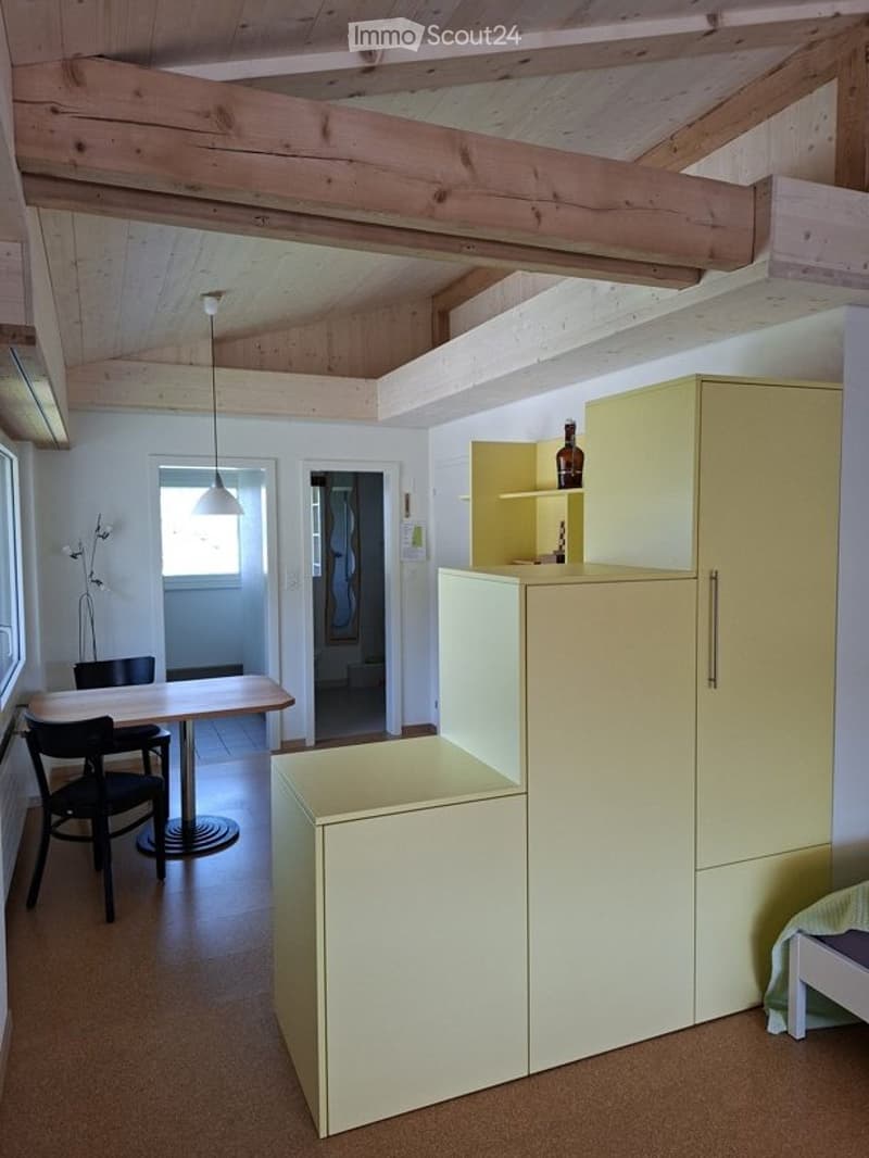 Holiday apartment / studio for rent / All year round (3)