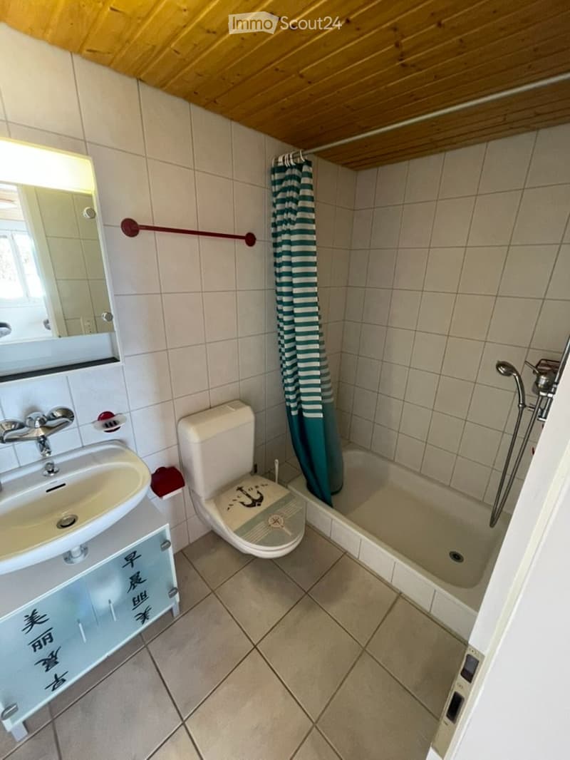 Camera parzialmente arredata con doccia e toilette (3)