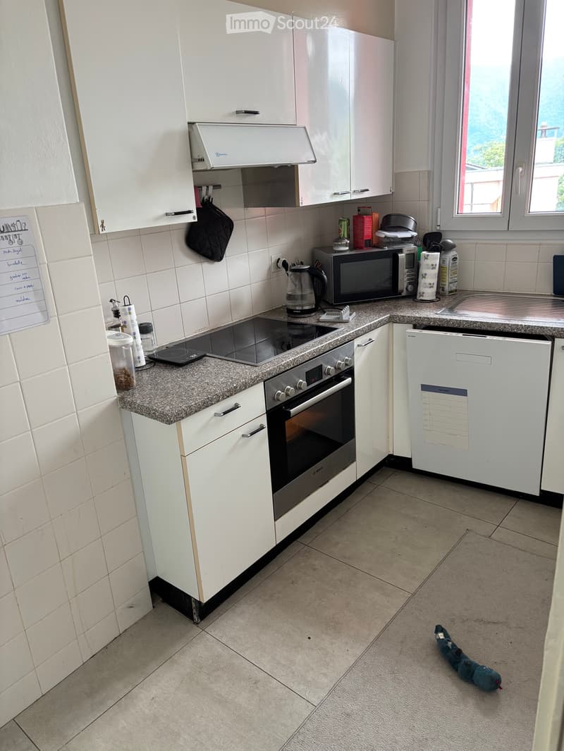Wohnung zur Miete 3.5 Zimmer in Massagno (2)
