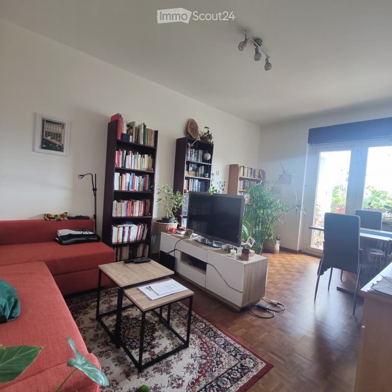 Cerco subentrante - appartamento 2.5 (4)