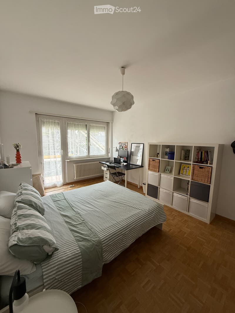 Rent a large room in the center of Lugano (1)