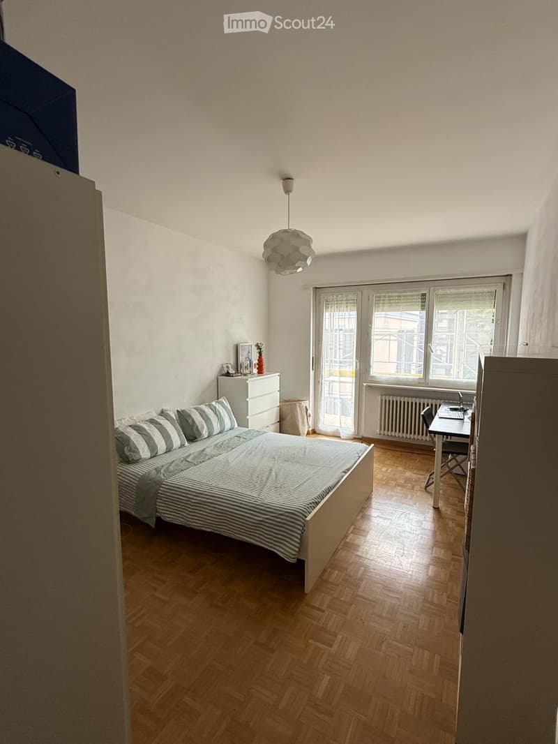 Rent a large room in the center of Lugano (3)