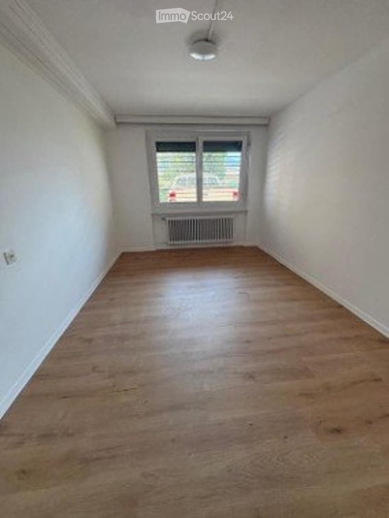 2.5 completamente rinnovato al PT (3)