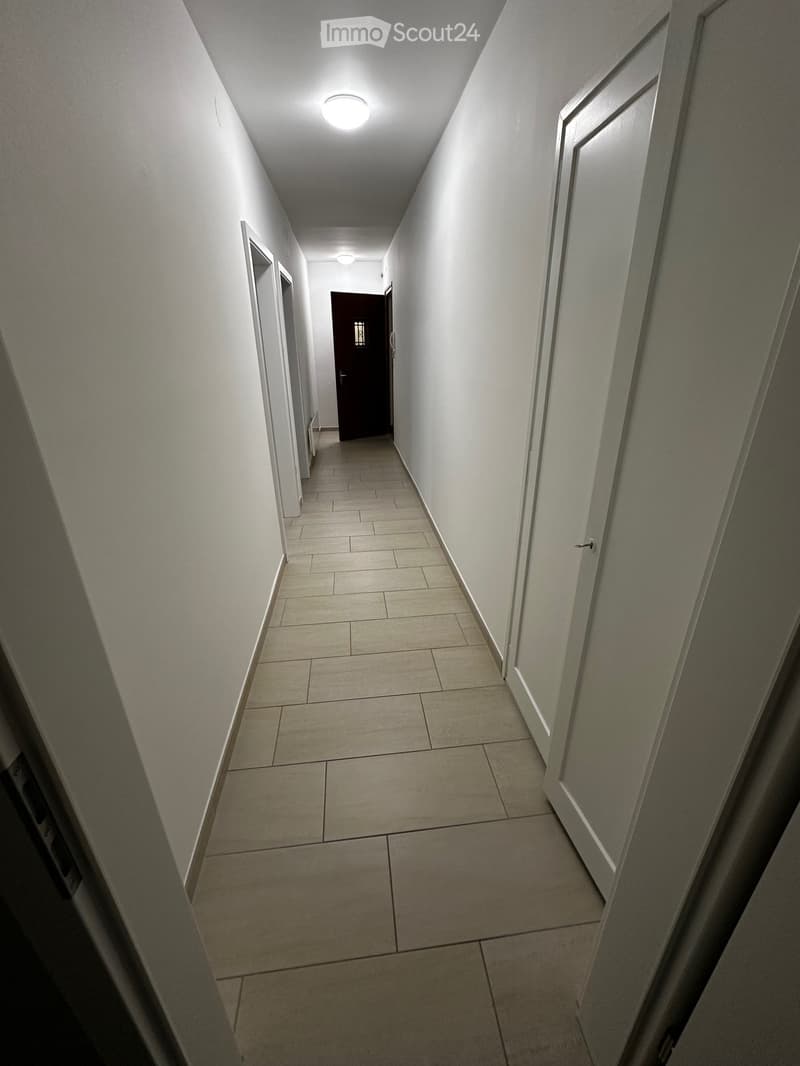 Zentrale Lage Minusio 2-Zimmer-Wohnung (2)