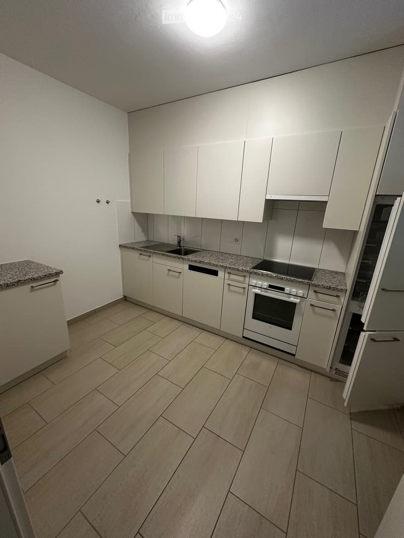 Zentrale Lage Minusio 2-Zimmer-Wohnung (3)