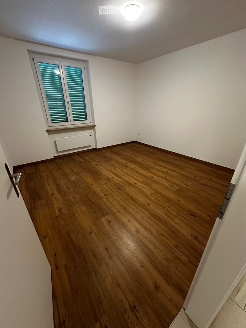 Zentrale Lage Minusio 2-Zimmer-Wohnung (1)