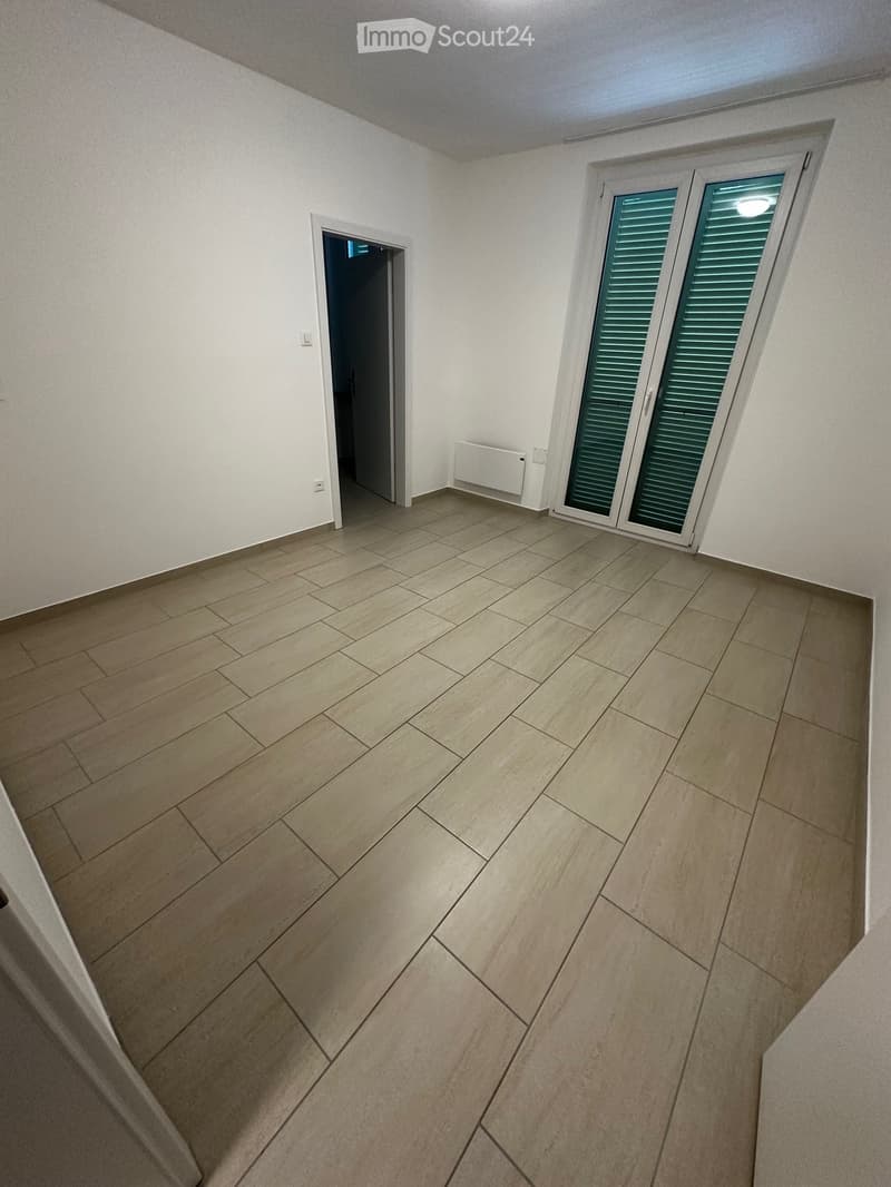 Zentrale Lage Minusio 2-Zimmer-Wohnung (5)