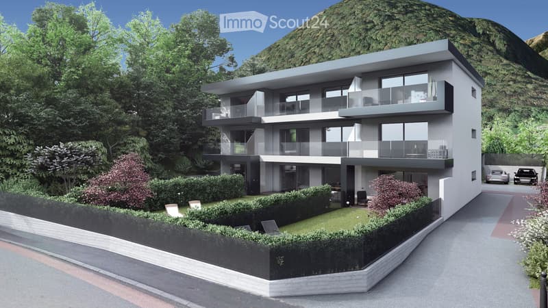 NEU 2.5 Zimmer Bellinzona (1)