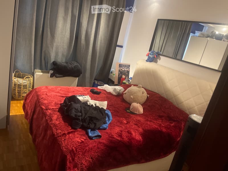 Suche Nachmieter für 5.5 Zimmer (4)