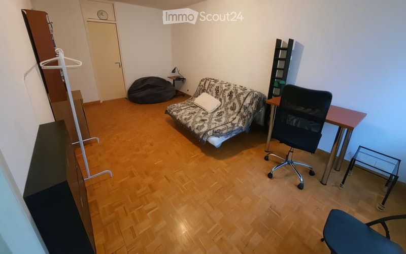 Bel appartement meublé (1,5 pièces, ~30 m²) - Reprise Bail (2)