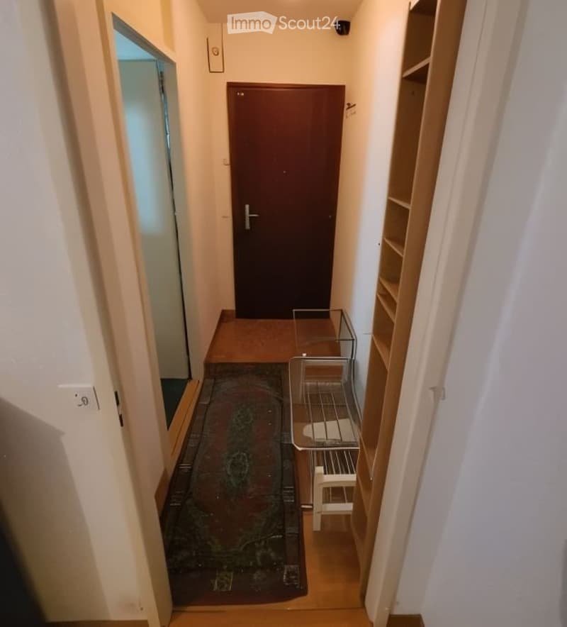 Bel appartement meublé (1,5 pièces, ~30 m²) - Reprise Bail (1)