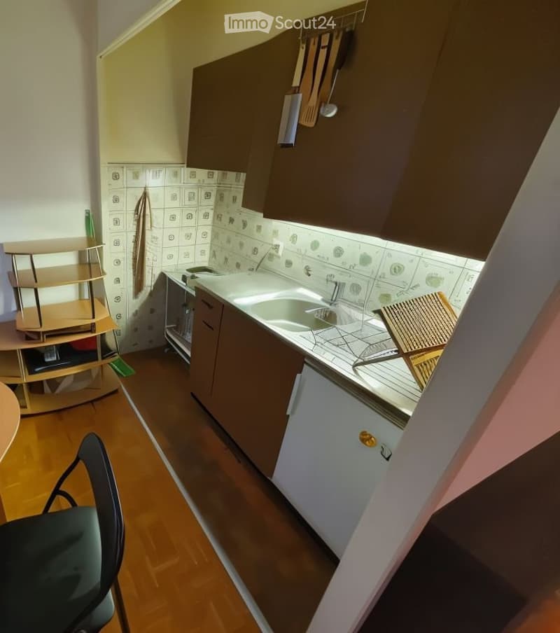 Bel appartement meublé (1,5 pièces, ~30 m²) - Reprise Bail (3)