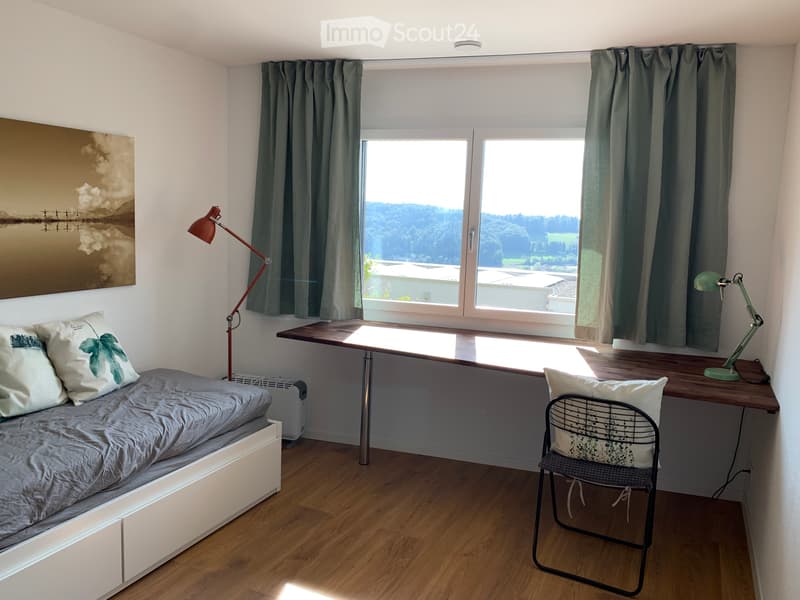 Furnished studio in Beringen SH with Alpine view (2)